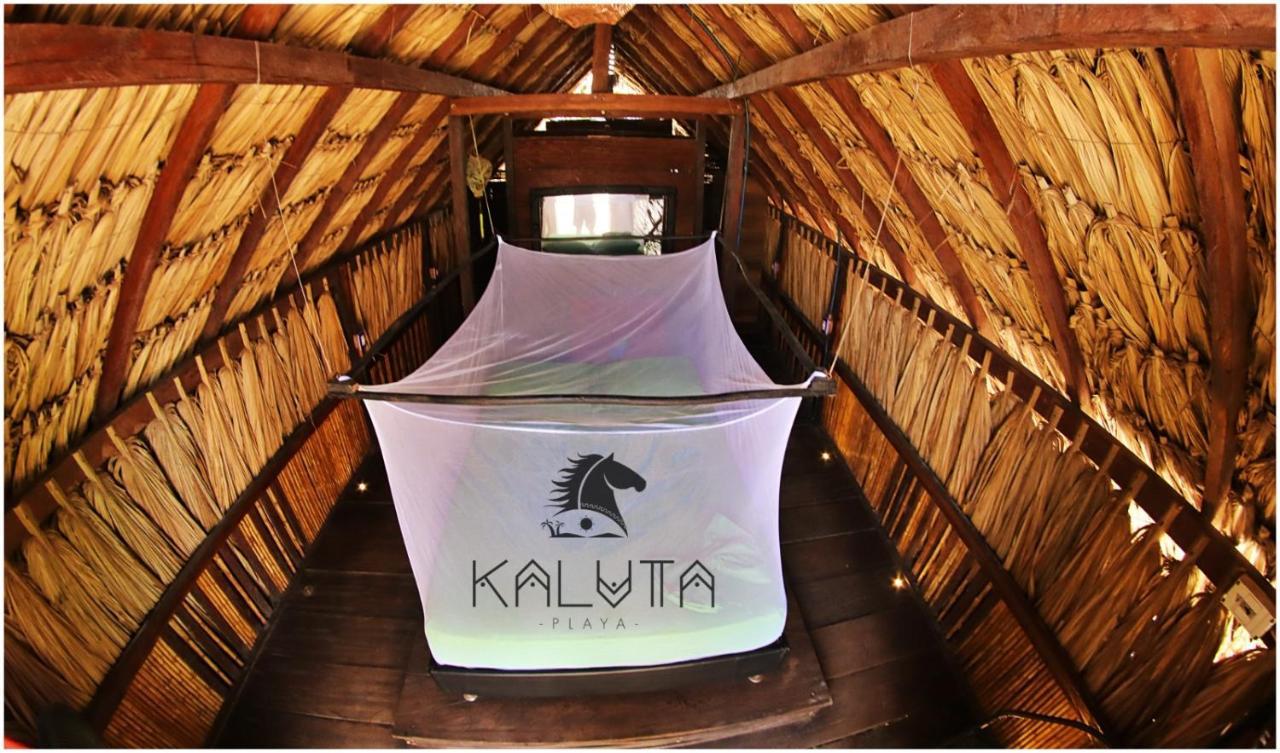Kaluta Palomino Exterior foto